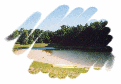 Fox Memorial Park